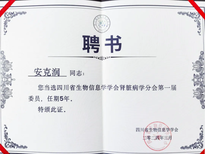 640 (4).webp